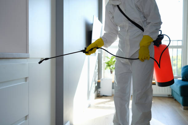 Trusted Arcola, TX Mold Remediation Experts